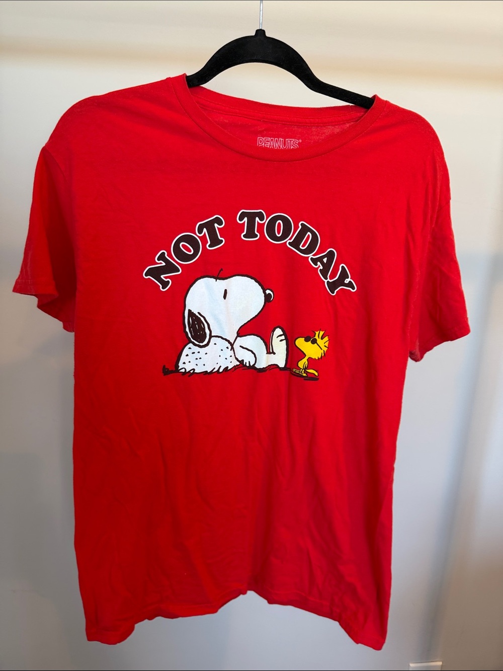 Peanuts Red Snoopy & Woodstock 'Not Today' Graphic Tee
